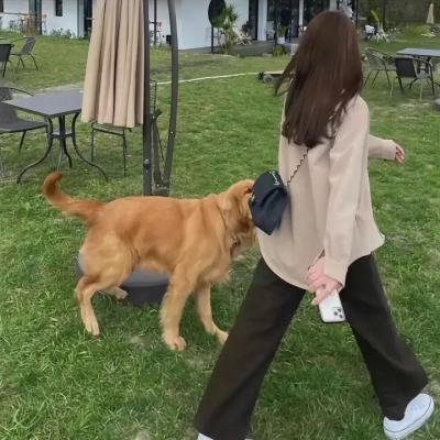 舞动奇迹